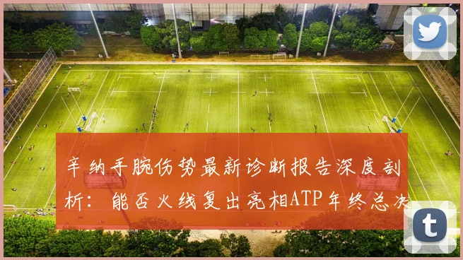 辛纳手腕伤势最新诊断报告深度剖析:能否火线复出亮相ATP年终总决赛卫冕王座