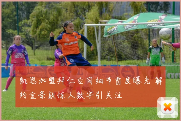 凯恩加盟拜仁合同细节首度曝光 解约金条款惊人数字引关注